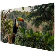 speecheese Tukan im Dschungel Schreibtischunterlage 89x40cm XXL Mauspad - Exotisches Design für Ihr Büro Foto des Tukan mit orangefarbenem Schnabel auf grünem Ast Beruhigende Blätter