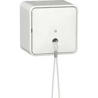 Gira Zugschalter AusWe + 314613
