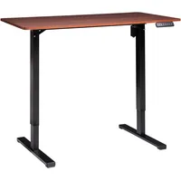 Beliani Schreibtisch TAVARES
