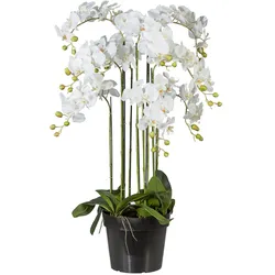 CREATIV green künstliche Pflanze Phalaenopsis 110cm