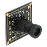 DeLock 96397 96397 CMOS Farb-Kameramodul