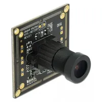 DeLock 96397 96397 CMOS Farb-Kameramodul