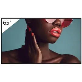 Sony Bravia FW-65BZ40L 65" schwarz