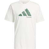 adidas Men's Court Therapy Graphic Tee T-Shirt, Off White, S