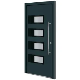 vidaXL Haustür rechts 100 x 210 cm Anthrazit