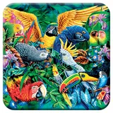 3D LiveLife Kork Matte - Tropen Vögel von Deluxebase. Linsenförmige-3D-Kork Vögel Untersetzer. rutschfeste Getränkematte mit Originalkunstwerk lizenziert vom bekannt Künstler Steven Michael Gardner