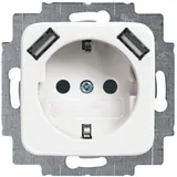 Busch-Jaeger 20 EUCB2USB-214