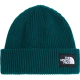 The North Face Salty Lined Beanie pacific teal (N4J) OS