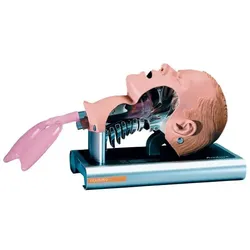 Ambu Airway Management Trainer Intubationstrainer Erwachsener