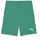 Puma teamGOAL Shorts Jr 705753