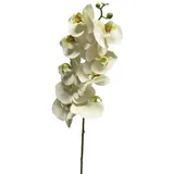Kunstorchidee Kunstzweig Phalaenopsis Orchidee SONGYA, weiß, 105 cm Orchidee (Orchidee phalaenopsis), artplants weiß