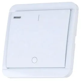 diw-funk DWS-10T Funk-Wandsender mit 5-fach Timer 1-Kanal Count-Down-Timer DIW-Funk