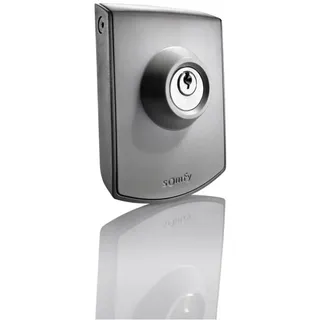 SOMFY 2400597 -Schlüsseltaster Aufputz zur Bedienung von Torantrieben, grau, Silber