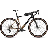 Focus Atlas 8.0 - Goldrush glossy - L