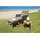 Garden Pleasure Calvia Lounge-Set braun