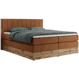 MKS Bellissimo King 140 x 200 cm H4 Orange