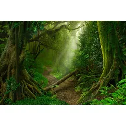 Fototapete PAPERMOON "TROPISCHER WALD-BAUM DSCHUNGEL SONNE WEG PALMEN BACH", bunt, B:4,00m L:2,60m, Vlies, Tapeten