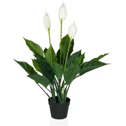Kunstpflanze / Kunstblume SPATHIPHYLLUM Einblatt 80 cm grün/weiß hjh OFFICE