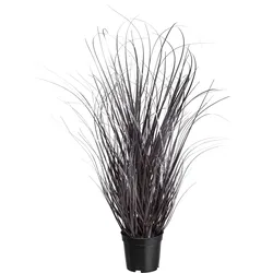Kunstgras CREATIV GREEN "Gras", lila (lila, silber), H:73cm, Kunststoff, Kunstpflanzen, in moderner Farbgebung