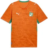 Puma Elfenbeinküste Trikot 2026