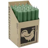 Kerzenfarm Hahn Stabkerze 180 x 22 mm Kieferngrün 25 St.