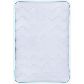BestLivings 4 Jahreszeitenbett mit blauer Biese - 200cm x 220 cm