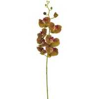 Express Flor 12 künstliche Orchideen, 103 cm, Senf