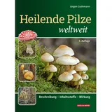 Quelle & Meyer Heilende Pilze weltweit