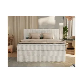 MKS Meble Boxspringbett mit Bettkasten - beige ¦ Maße (cm): B: 146 H: 119