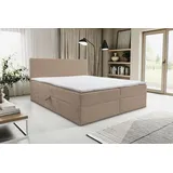 venasi TILLY 160 x 200 cm H2/H3 Braun
