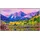 LG 65UK762H 65" 4K NanoCell Hotel Smart TV