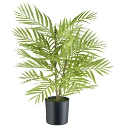 Kunstpalme CREATIV GREEN "Arecapalme", grün, H:48cm, Kunststoff, Kunstpflanzen, mit naturgetreuen Palmwedeln