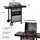 Royal Gourmet 2-Brenner Gasgrill grau