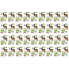 PERFECT FIT Senior Pute 12 x 85 g