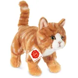 Teddy-Hermann Katze stehend rot getiegert