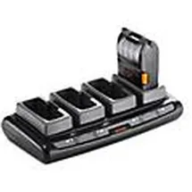 BIXOLON PQD-R210/STD, Drinnen, Schwarz, Grau