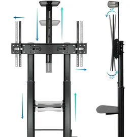 TooQ Zeus FS20400M-B Verstellbarer TV-Bodenständer 60-100 VESA 1000x600 Max 100Kg