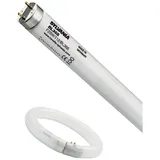 Feilo Sylvania T5 22W/840 G13 Lichtfarbe 3000K