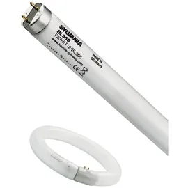 Feilo Sylvania T5 22W/840 G13 Lichtfarbe 3000K