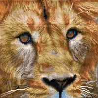 needleart world (hong kong) ltd. Diamond Painting Löwe 30,5 x 30,5 cm