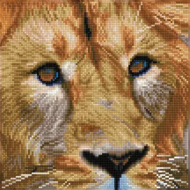 needleart world (hong kong) ltd. Diamond Painting Löwe 30,5 x 30,5 cm