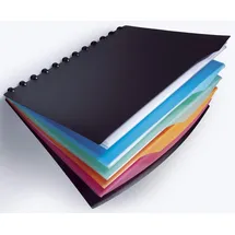 Durable Ringmappe DURALOOK® STYLE schwarz, 1 St.