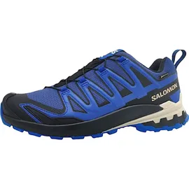 Salomon XA Pro 3D V9 GTX Herren Blue Print/Surf The Web/Lapis Blue 42