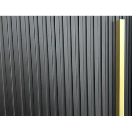 Mirjan24 Schwebetürenschrank Riflo Slim 2 200 x 200 x 0 cm Schwarz/Gold