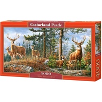Castorland C-400317-2 Puzzle 4000 Stück(e) Tiere