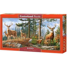 Castorland C-400317-2 Puzzle 4000 Stück(e) Tiere