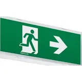 ESYLUX LED-Notleuchte ws SLXELLED EN10077616