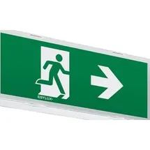 ESYLUX LED-Notleuchte ws SLXELLED EN10077616