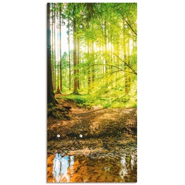 Artland Garderobenleiste »Wald mit Bach«, 41336606-0 grün B/H/T: 60 cm x 120 cm x 2,8 cm,