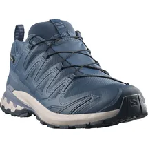 Salomon XA Pro 3D V9 GTX Herren Spellbound/Grisaille/Maritime Blue 46